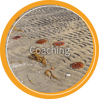 02 kreise heliankar coaching